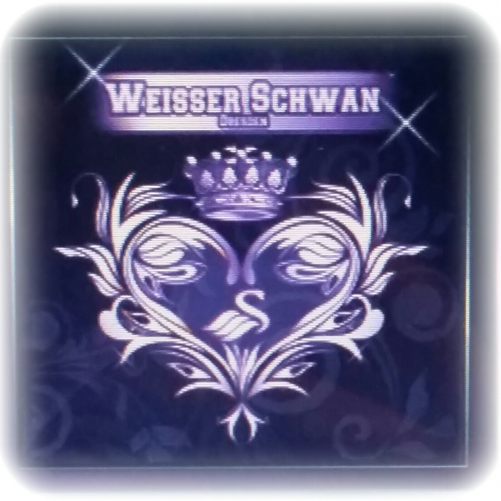 Weisser Schwan - Dresden